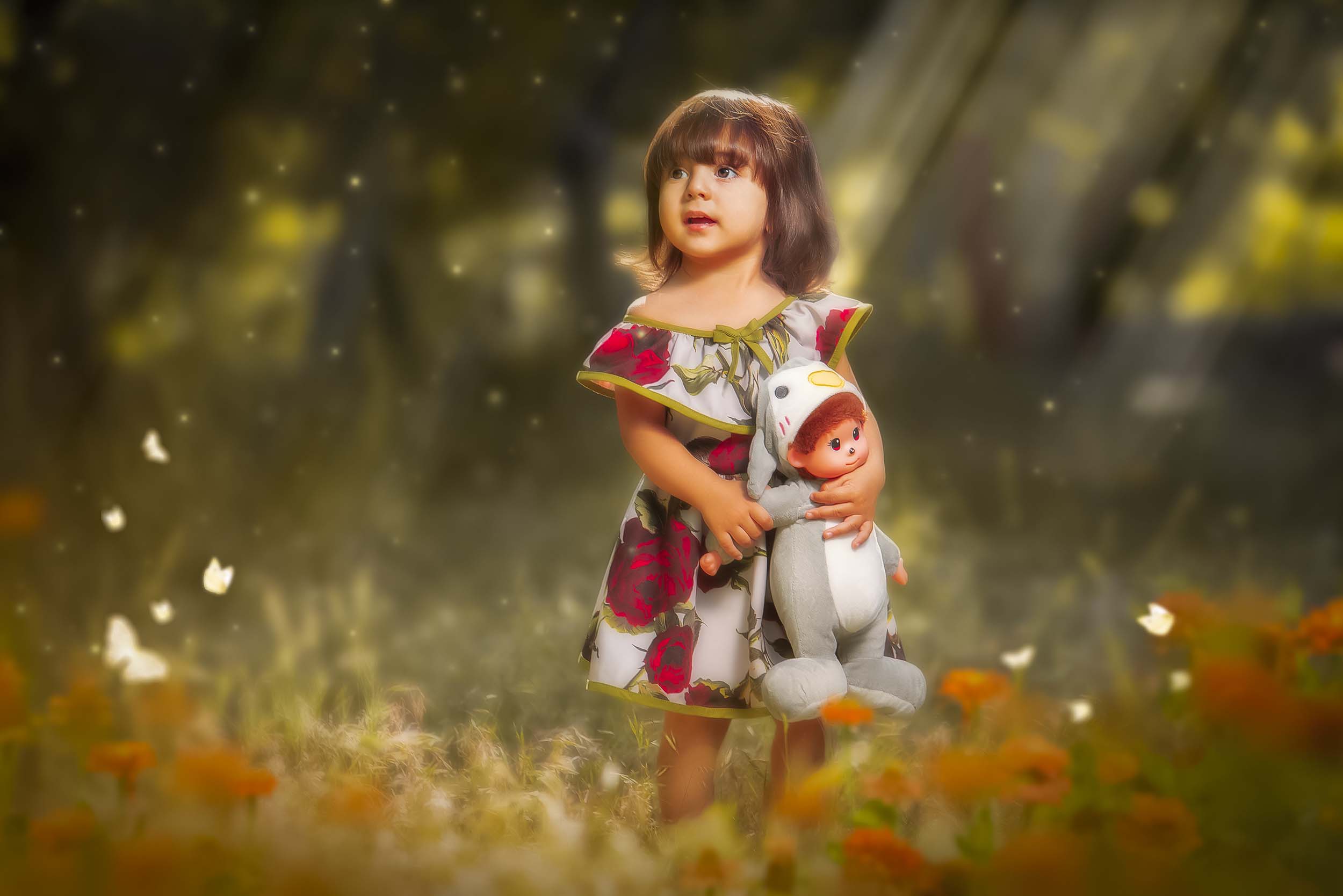 ریتاچ و ادیت فاین آرت (Fine Art Retouching)
